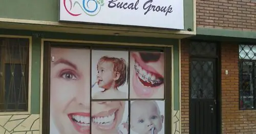 BUCAL GROUP BUCAL GROUP